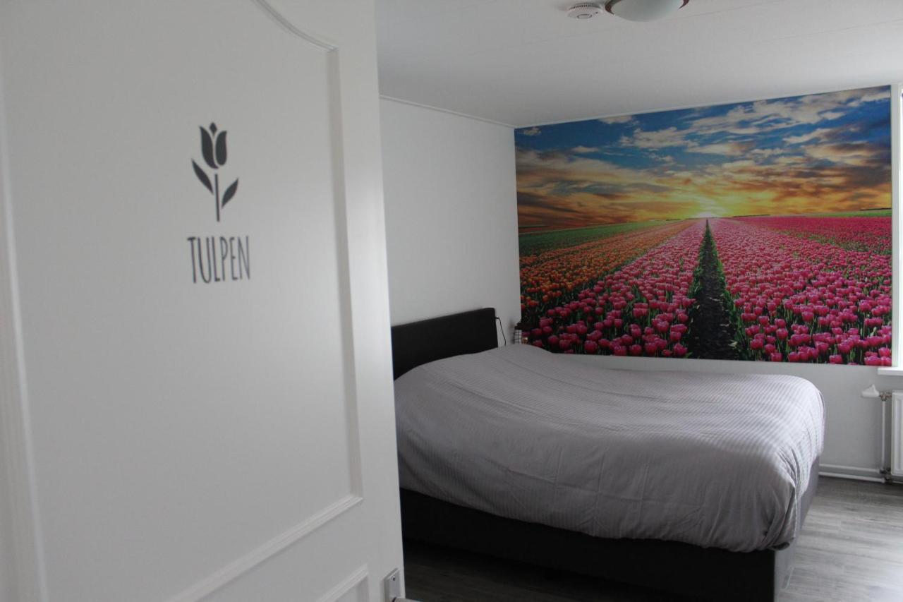 Slapen Bij De Buurvrouw Bed & Breakfast Castricum Exterior photo